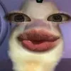preciouslarah2