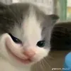 aannh.thu