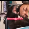 musang72tatlee