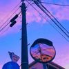 pluviophiles_123