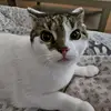 paueuuuu