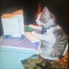 glupost3_