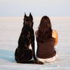 The Beaucerons
