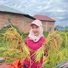 oryza_sativa95