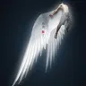 ilhann12