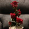 user6180024713269
