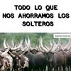 robertolaines249
