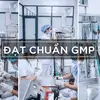 Nhà Máy Mỹ Phẩm Tóc