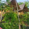 putriayah10