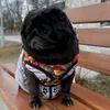 sonak77mail.ru