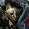 daniellyon91