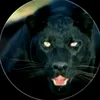omarsherzad37