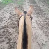 guidorojas04
