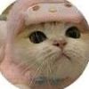 wherearealltheavocados00