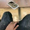 mulla_fc4