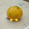 samuelpalli1