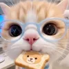 its_me_lixcy