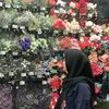irun27_