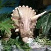 brawncat