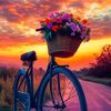 saida.ummi