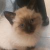 serghii_25