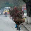 nana.huee