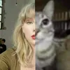 anaknytaylorswift