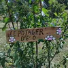 🌿Vers l’autosuffisance 🌸