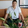 vanghongvanluc