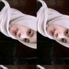 ivakrniaaa