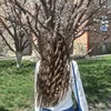 isofia_05