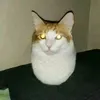 joshxyrichardsx