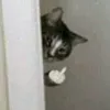 lillingg