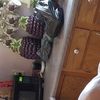 juanitafigueroa73
