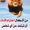dhiaarashad