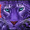 purpleleopard30