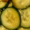 constipated_dragonfruit