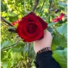 themostbeautiful298