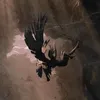 adanguillenh
