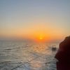fawzanabudhabi