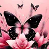 estrelabrilhante_123