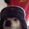dyeddc