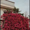 om_0177