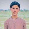 azizarmani153
