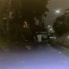 maichxng02