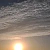 mur_0707777