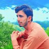 syedhammadalik2