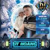 uthoangvietmix