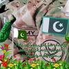 pakistanarmy262.97