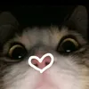 knownasamann_